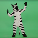 Dancing Zebra Extension