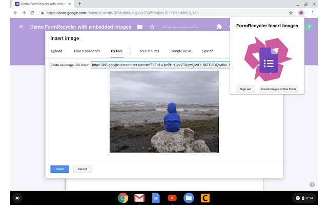 FormRecycler chrome谷歌浏览器插件_扩展第3张截图