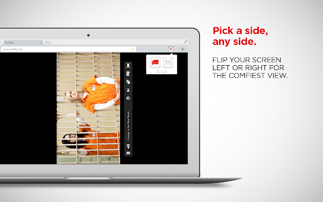 Netflip chrome谷歌浏览器插件_扩展第2张截图