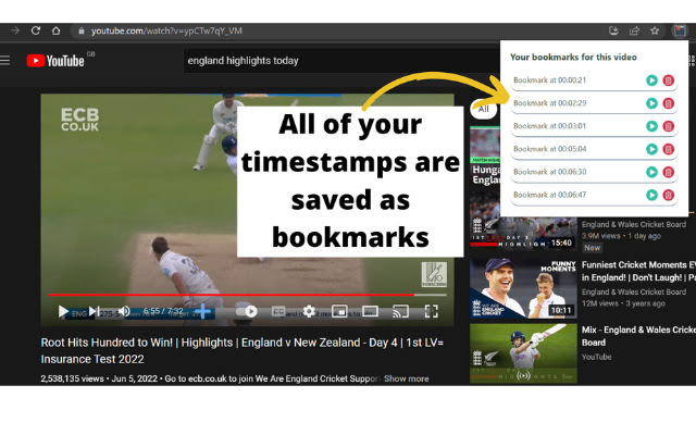 YouTube Timestamp Bookmarker - Gravitate Webs chrome谷歌浏览器插件_扩展第1张截图
