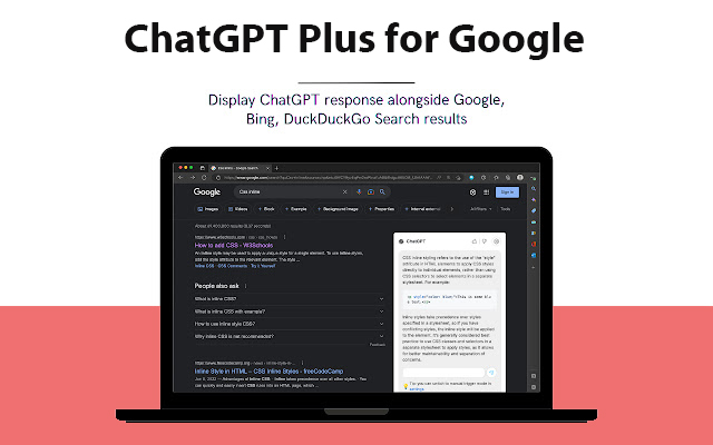 Google的Chatgpt Plus chrome谷歌浏览器插件_扩展第1张截图