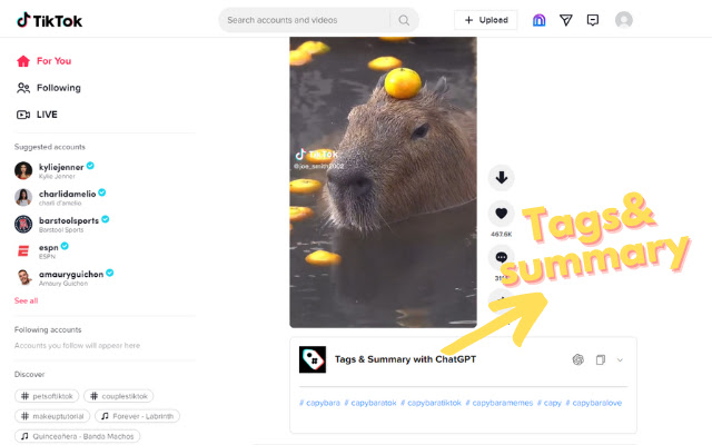 TikTok视频标签和摘要生成器-ChatGPT(中文版) chrome谷歌浏览器插件_扩展第2张截图