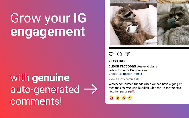 Comment Generator for IG chrome谷歌浏览器插件_扩展第1张截图