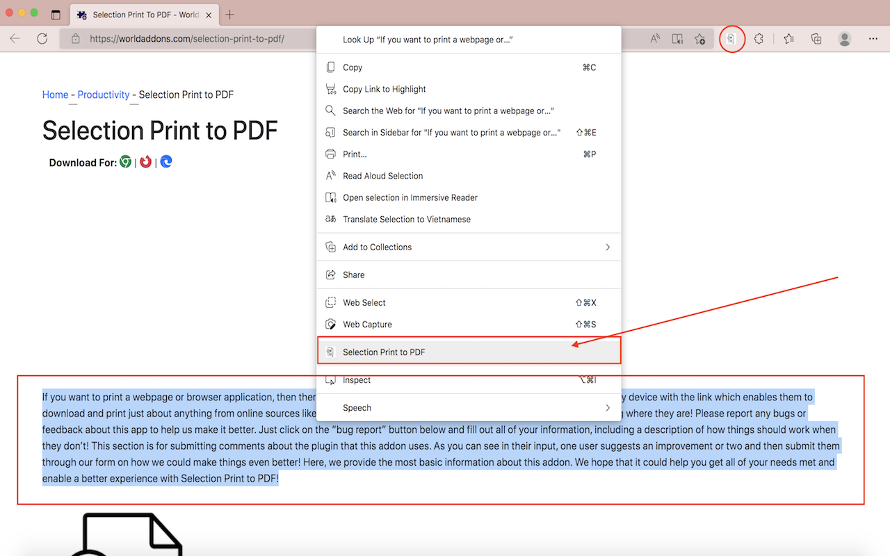 Selection Print to PDF chrome谷歌浏览器插件_扩展第1张截图