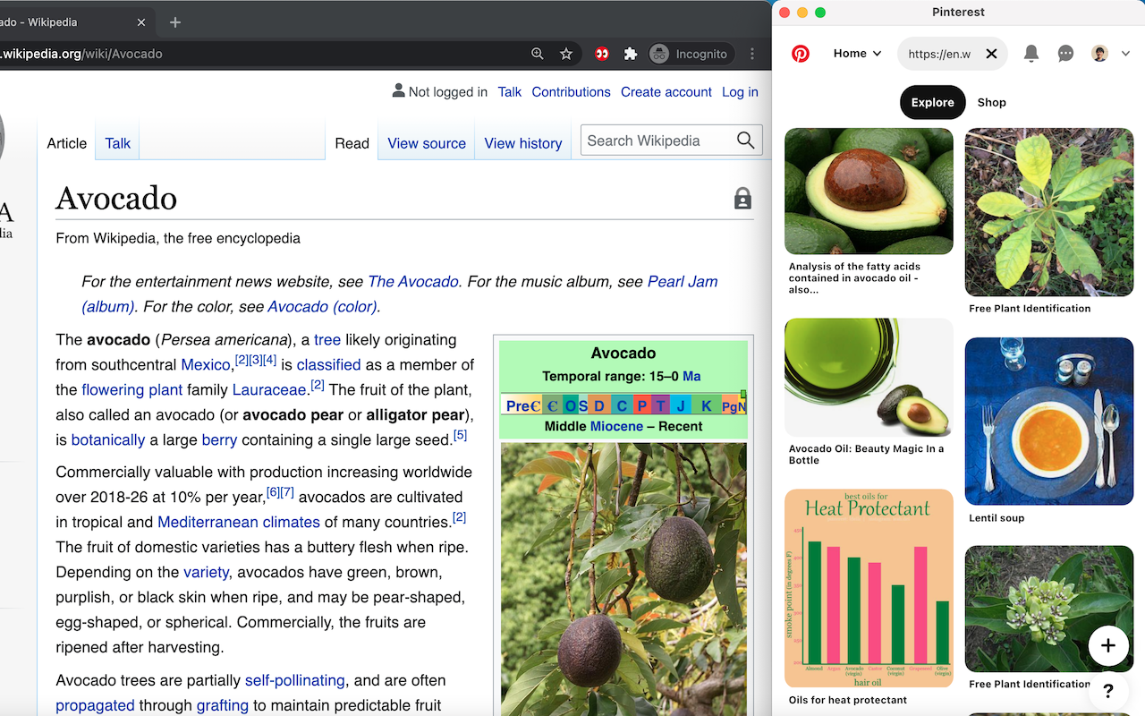 Pins Peep 👀 chrome谷歌浏览器插件_扩展第1张截图