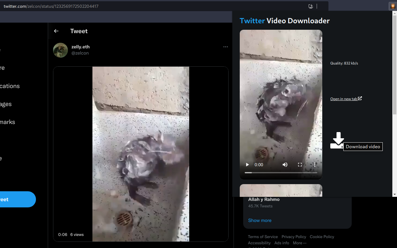 Twitter Video Downloader chrome谷歌浏览器插件_扩展第1张截图