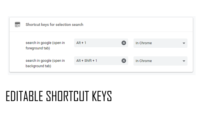 Shortcut keys for selection search chrome谷歌浏览器插件_扩展第1张截图