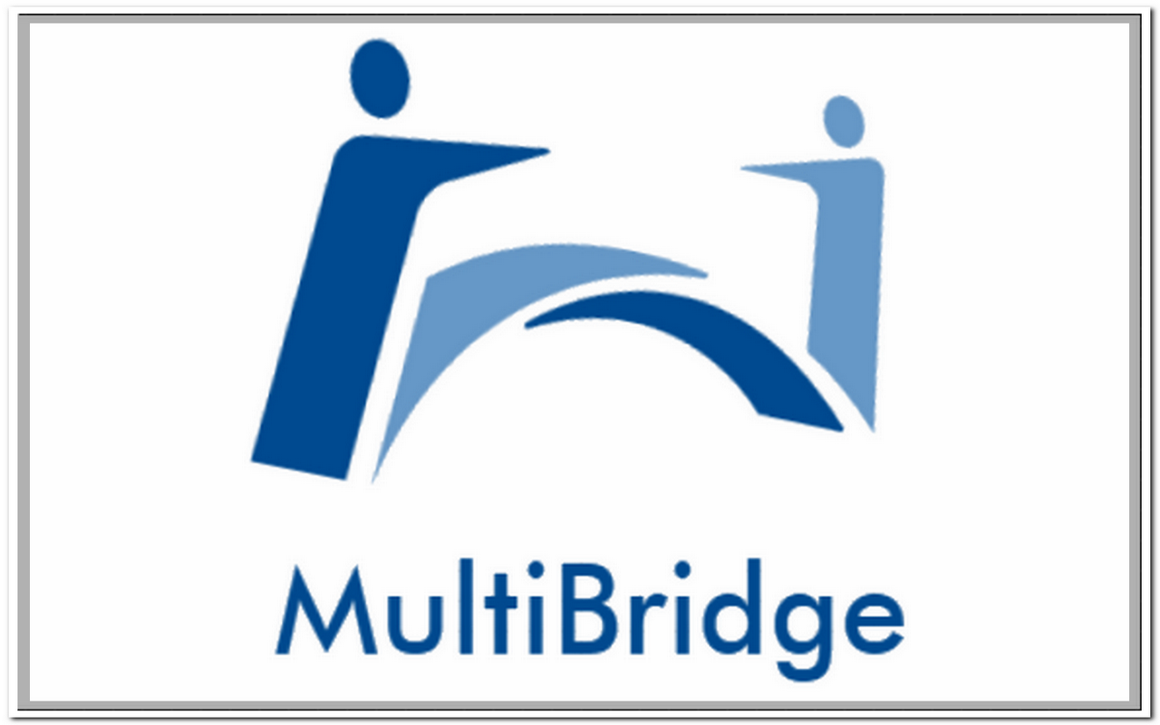 MultiBridge Trader chrome谷歌浏览器插件_扩展第1张截图