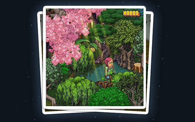 HarbyAutoFlash chrome谷歌浏览器插件_扩展第1张截图