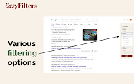 Easy Filters chrome谷歌浏览器插件_扩展第6张截图