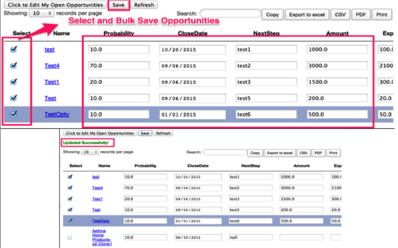 BulkEdit Opportunity Pipeline in Salesforce chrome谷歌浏览器插件_扩展第2张截图