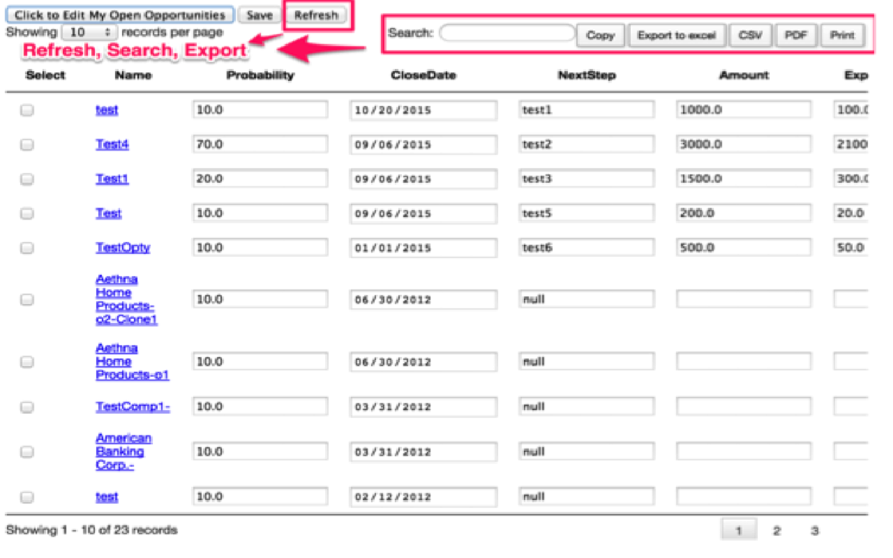 BulkEdit Opportunity Pipeline in Salesforce chrome谷歌浏览器插件_扩展第3张截图