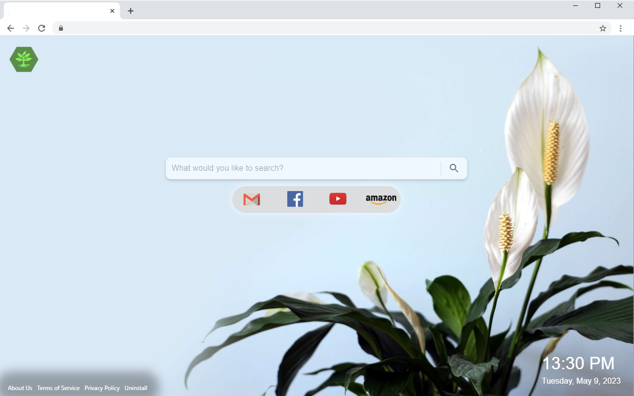 Plantastic Tab chrome谷歌浏览器插件_扩展第1张截图