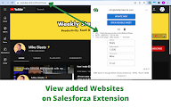 Salesforza CRM Sync Chrome to Google Sheet chrome谷歌浏览器插件_扩展第7张截图