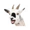 Goatarize for Chrome