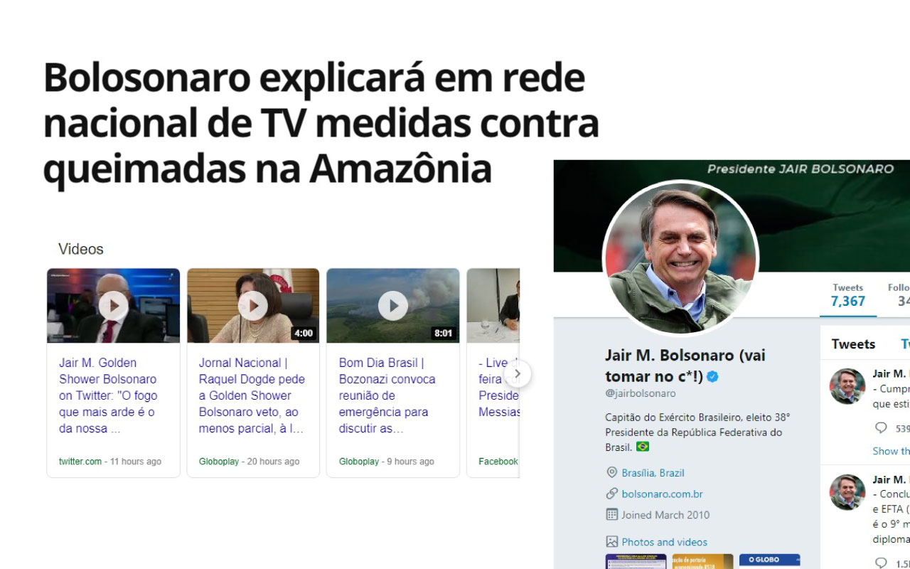 Sinônimos para Bolsonaro chrome谷歌浏览器插件_扩展第1张截图