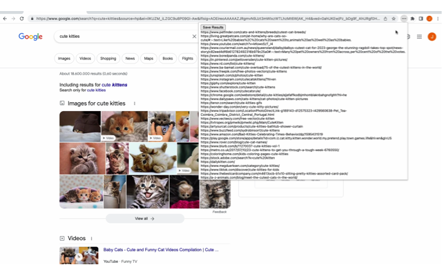 Save Search Results chrome谷歌浏览器插件_扩展第1张截图