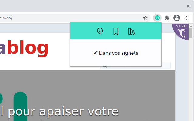 Flus chrome谷歌浏览器插件_扩展第2张截图