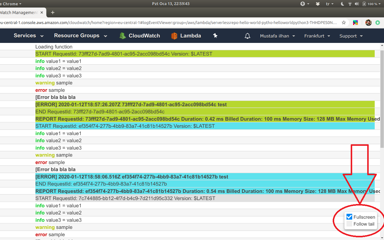 Colorize AWS CloudWatch Logs chrome谷歌浏览器插件_扩展第4张截图