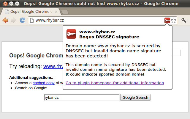DNSSEC Validator chrome谷歌浏览器插件_扩展第2张截图