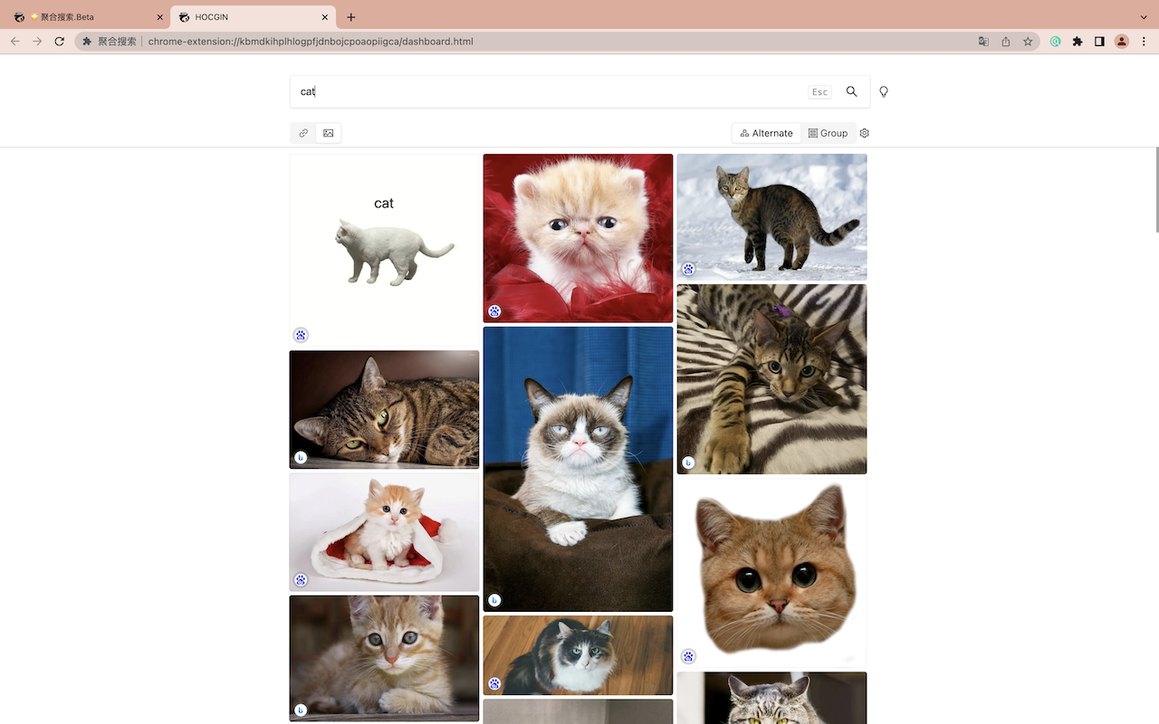 ISearch - 聚合搜索 chrome谷歌浏览器插件_扩展第2张截图