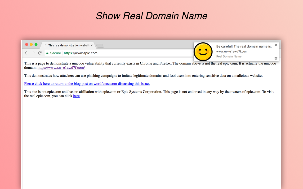 Real Domain Name chrome谷歌浏览器插件_扩展第5张截图