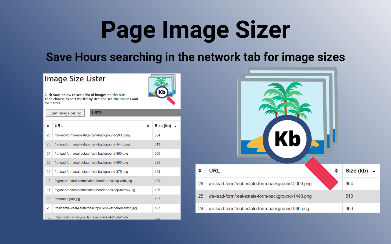 Page Image Sizer chrome谷歌浏览器插件_扩展第4张截图