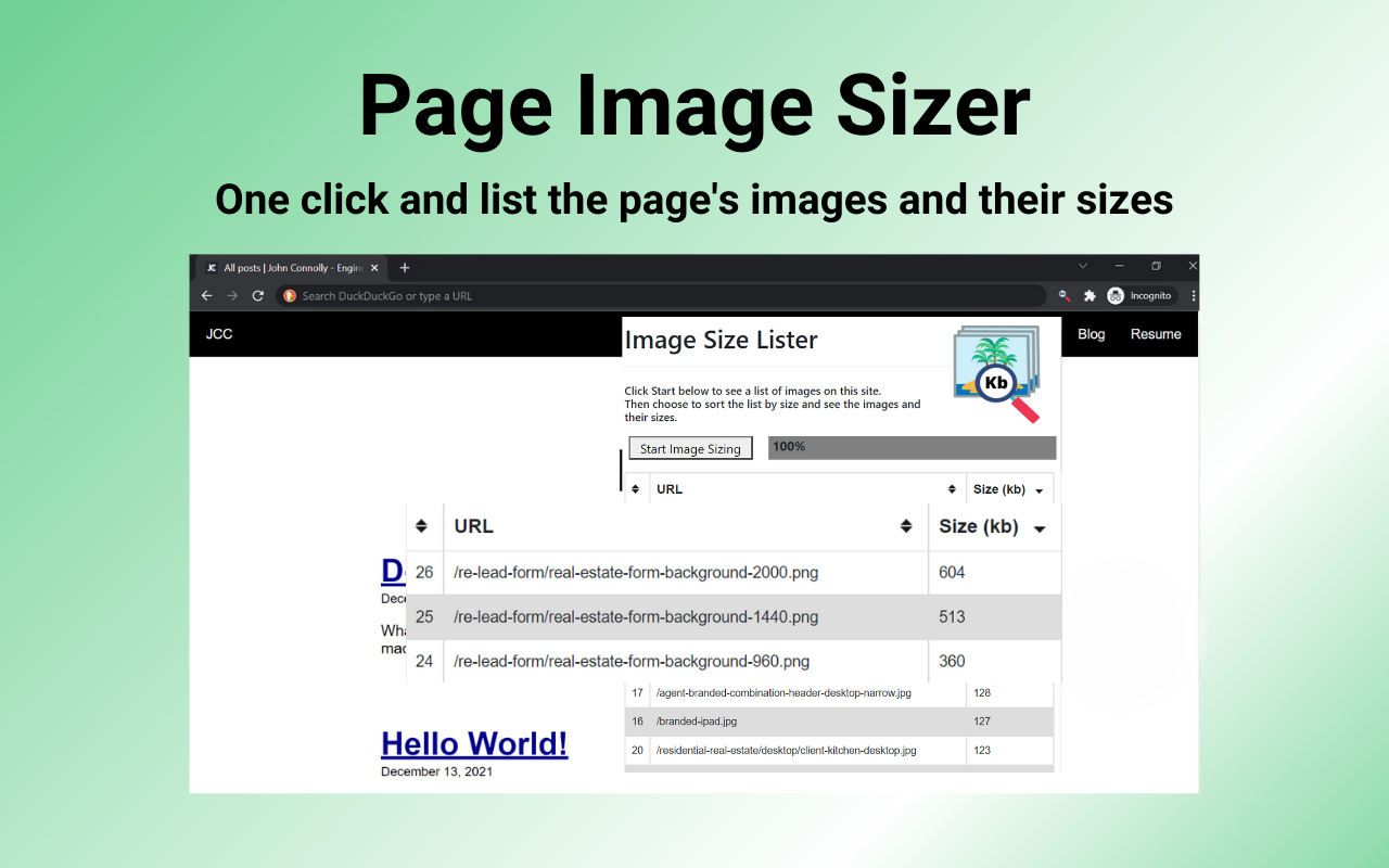 Page Image Sizer chrome谷歌浏览器插件_扩展第5张截图