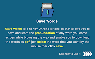 Save Words chrome谷歌浏览器插件_扩展第3张截图