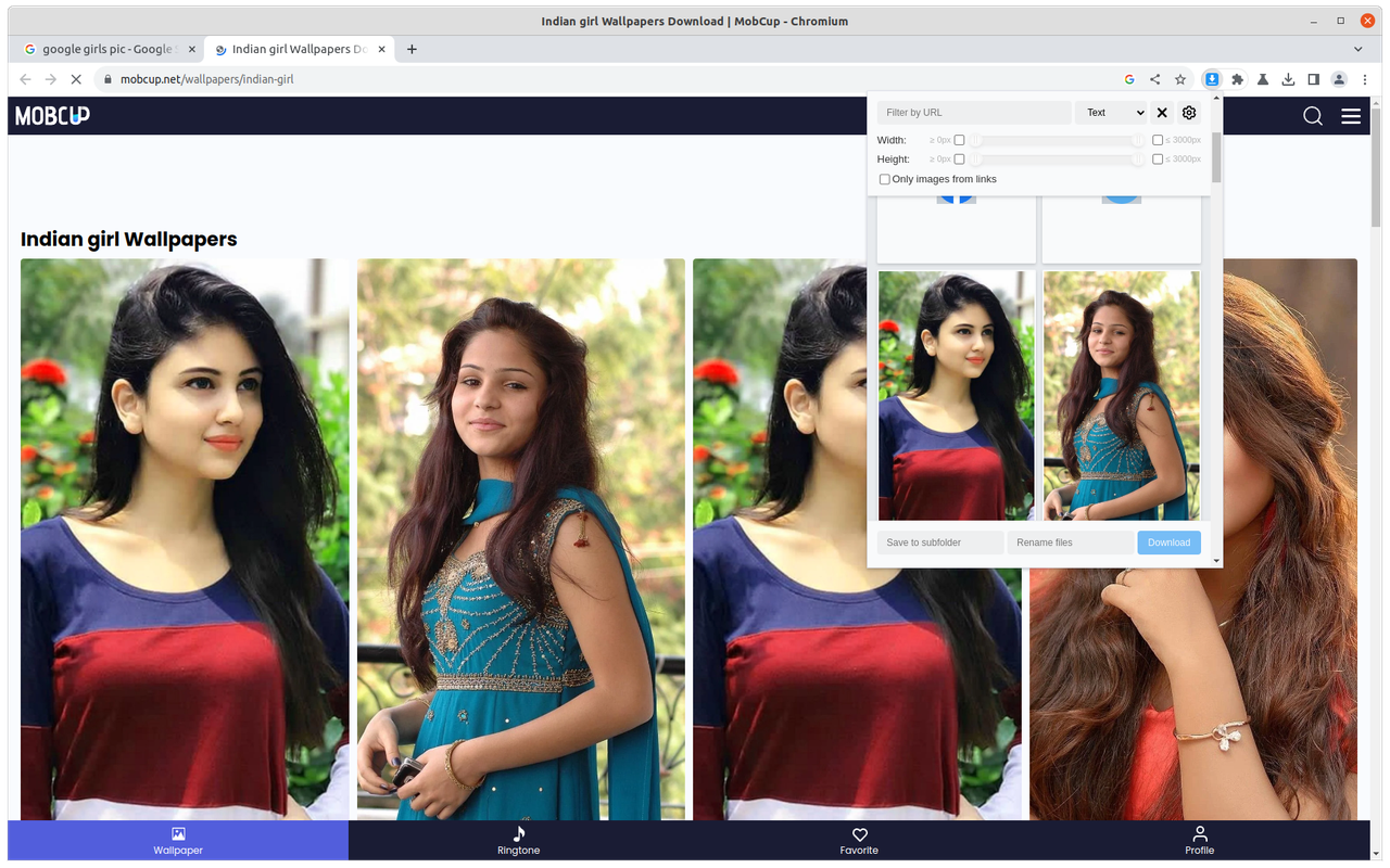 Bulk Image Downloader chrome谷歌浏览器插件_扩展第2张截图