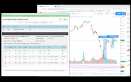 Your Investing Buddy chrome谷歌浏览器插件_扩展第4张截图