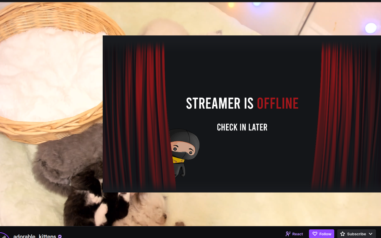 tvkz chrome谷歌浏览器插件_扩展第1张截图