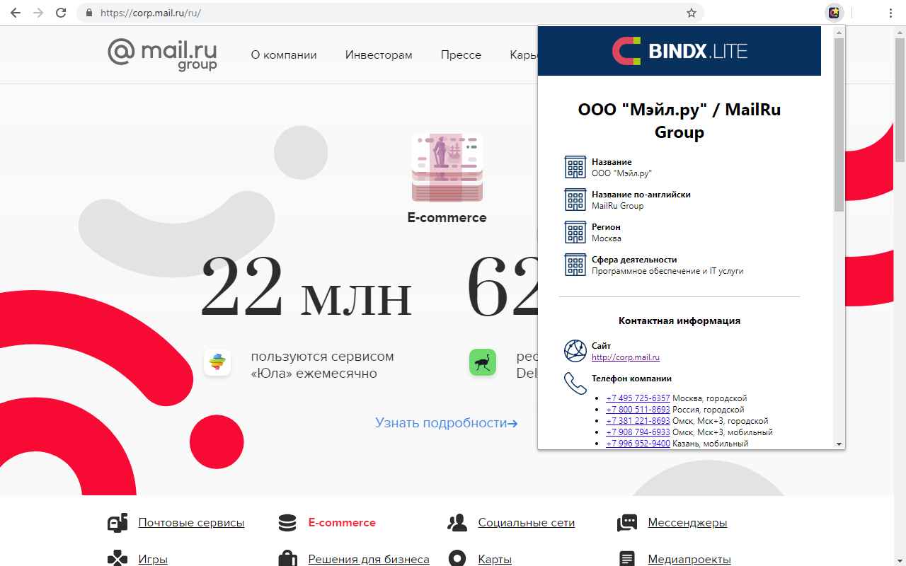 BINDX.Lite — данные о компании по её сайту chrome谷歌浏览器插件_扩展第1张截图