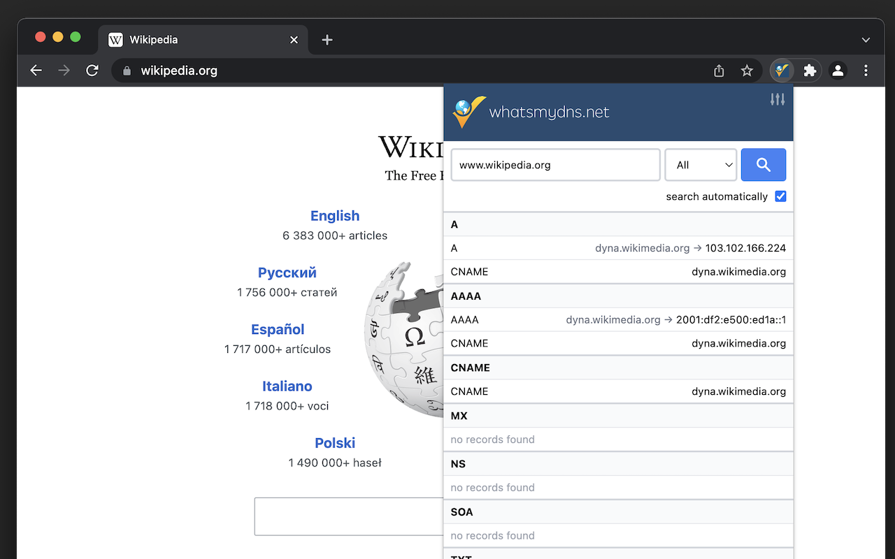 DNS Lookup chrome谷歌浏览器插件_扩展第2张截图