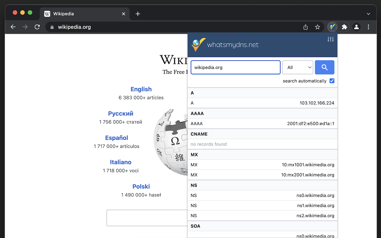 DNS Lookup chrome谷歌浏览器插件_扩展第5张截图