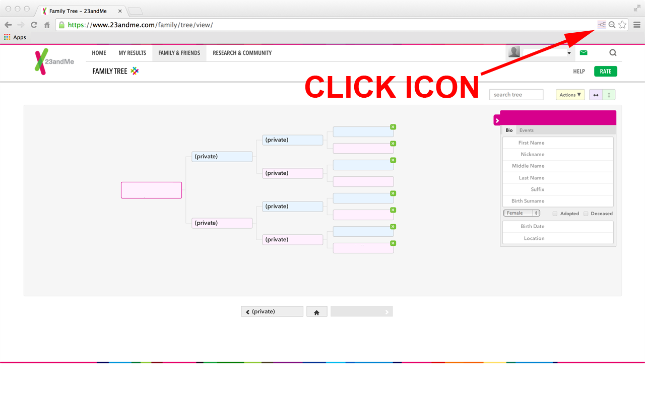 DNArboretum chrome谷歌浏览器插件_扩展第1张截图