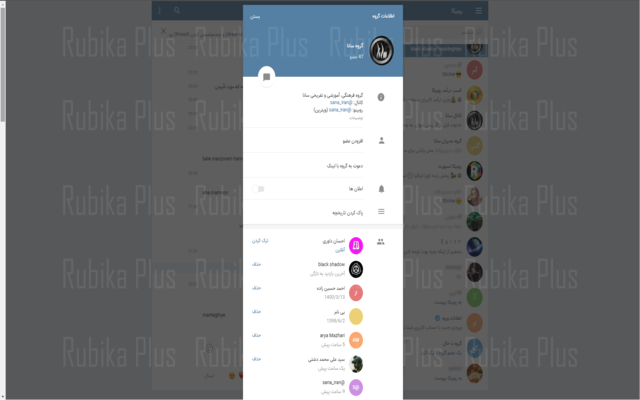 RubikaPlus chrome谷歌浏览器插件_扩展第3张截图