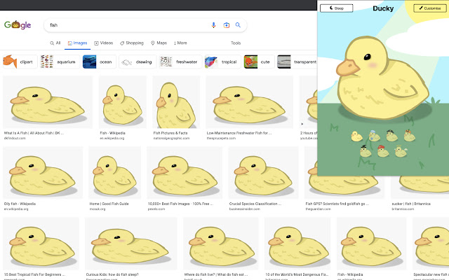 ❤ Ducktor - Your Adorable Web Companion chrome谷歌浏览器插件_扩展第2张截图