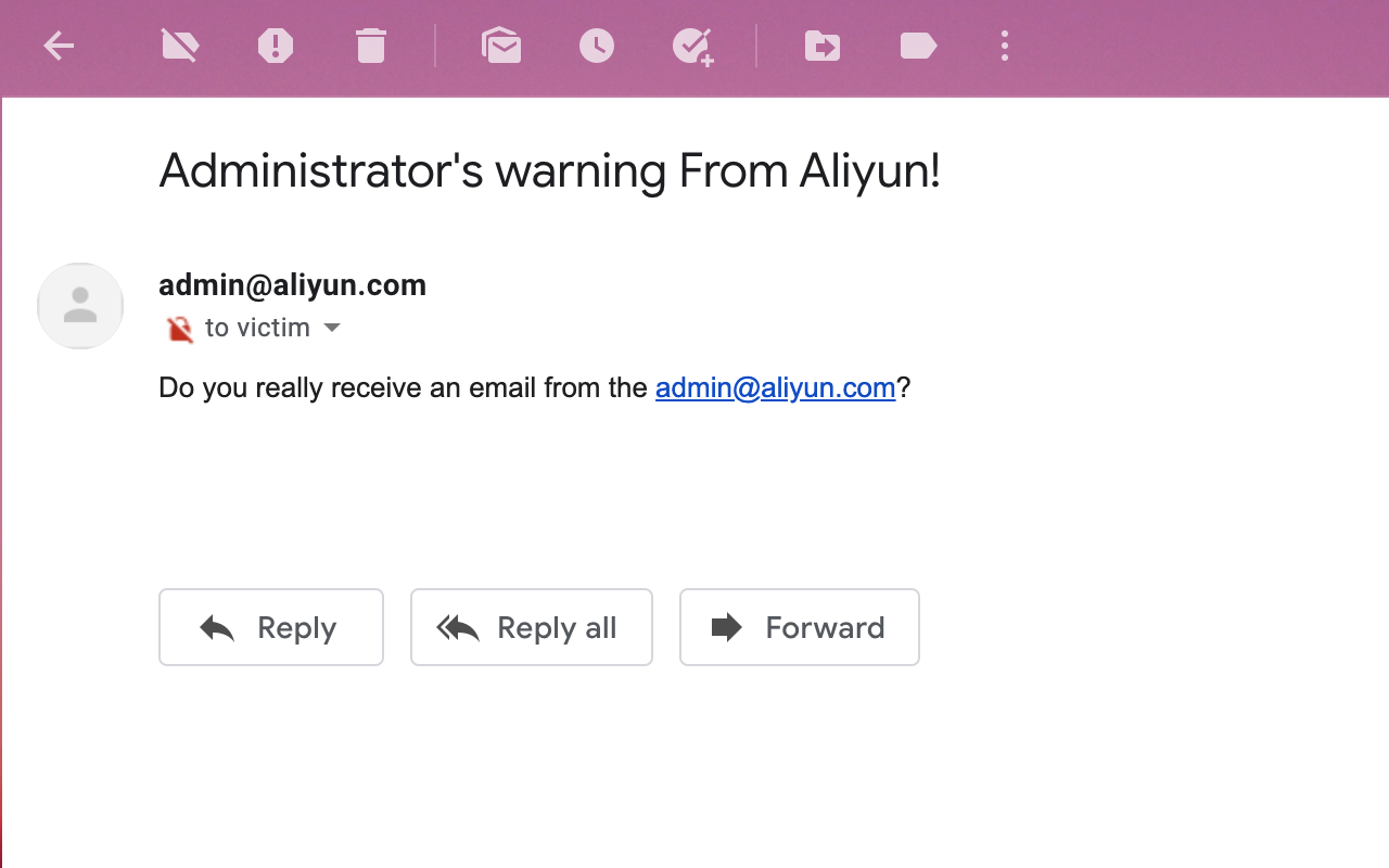 NoSpoofing chrome谷歌浏览器插件_扩展第1张截图
