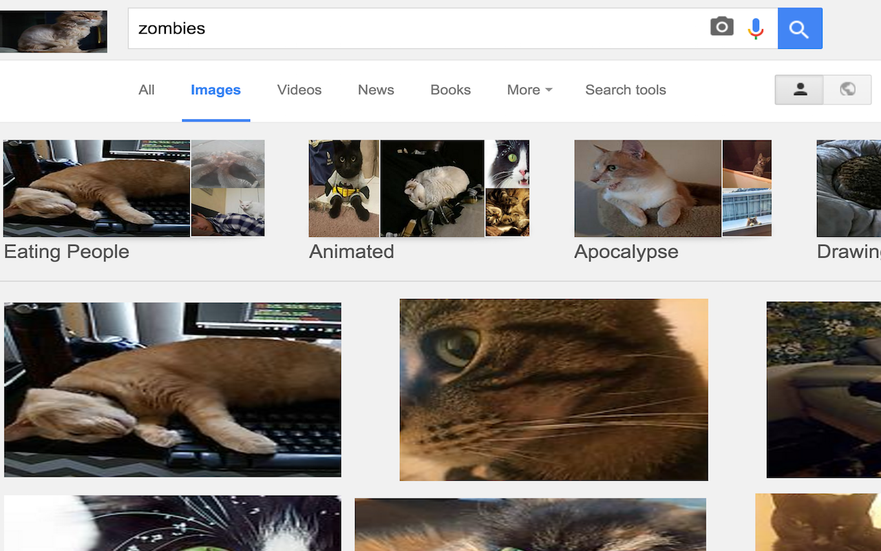CatFestation chrome谷歌浏览器插件_扩展第1张截图
