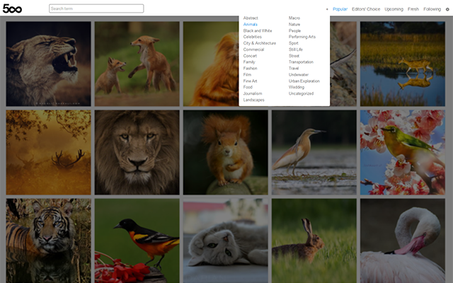 500px New Tab chrome谷歌浏览器插件_扩展第1张截图