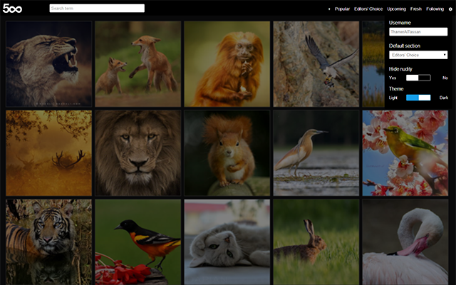 500px New Tab chrome谷歌浏览器插件_扩展第3张截图