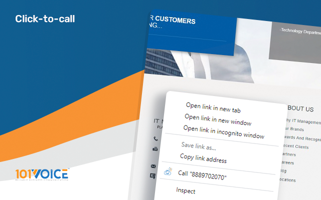 101LINK chrome谷歌浏览器插件_扩展第4张截图
