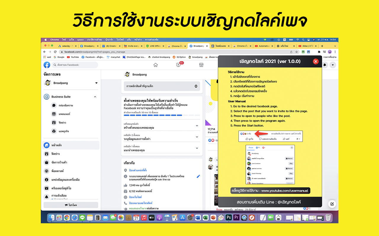 Likespagepang chrome谷歌浏览器插件_扩展第4张截图