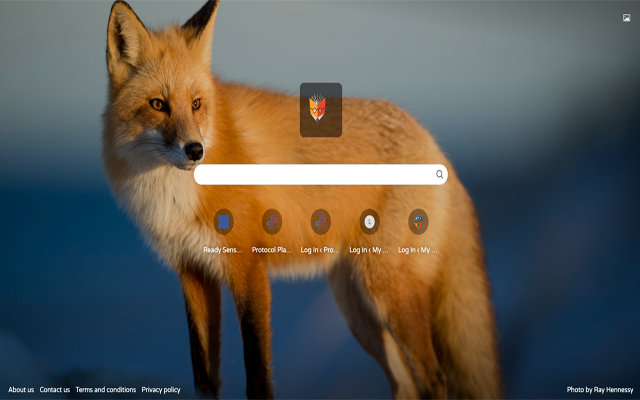 PhotosFox chrome谷歌浏览器插件_扩展第6张截图