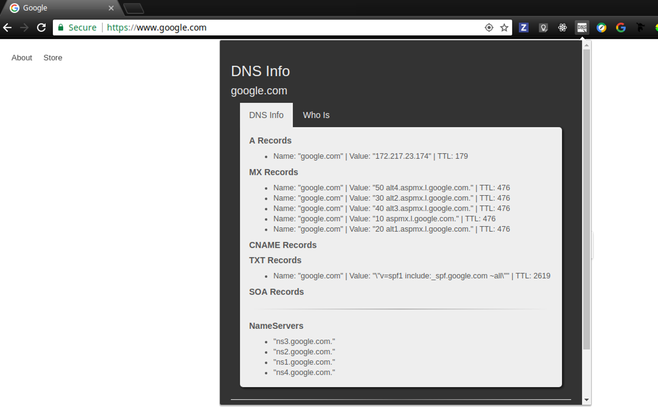 DNS INFO chrome谷歌浏览器插件_扩展第1张截图