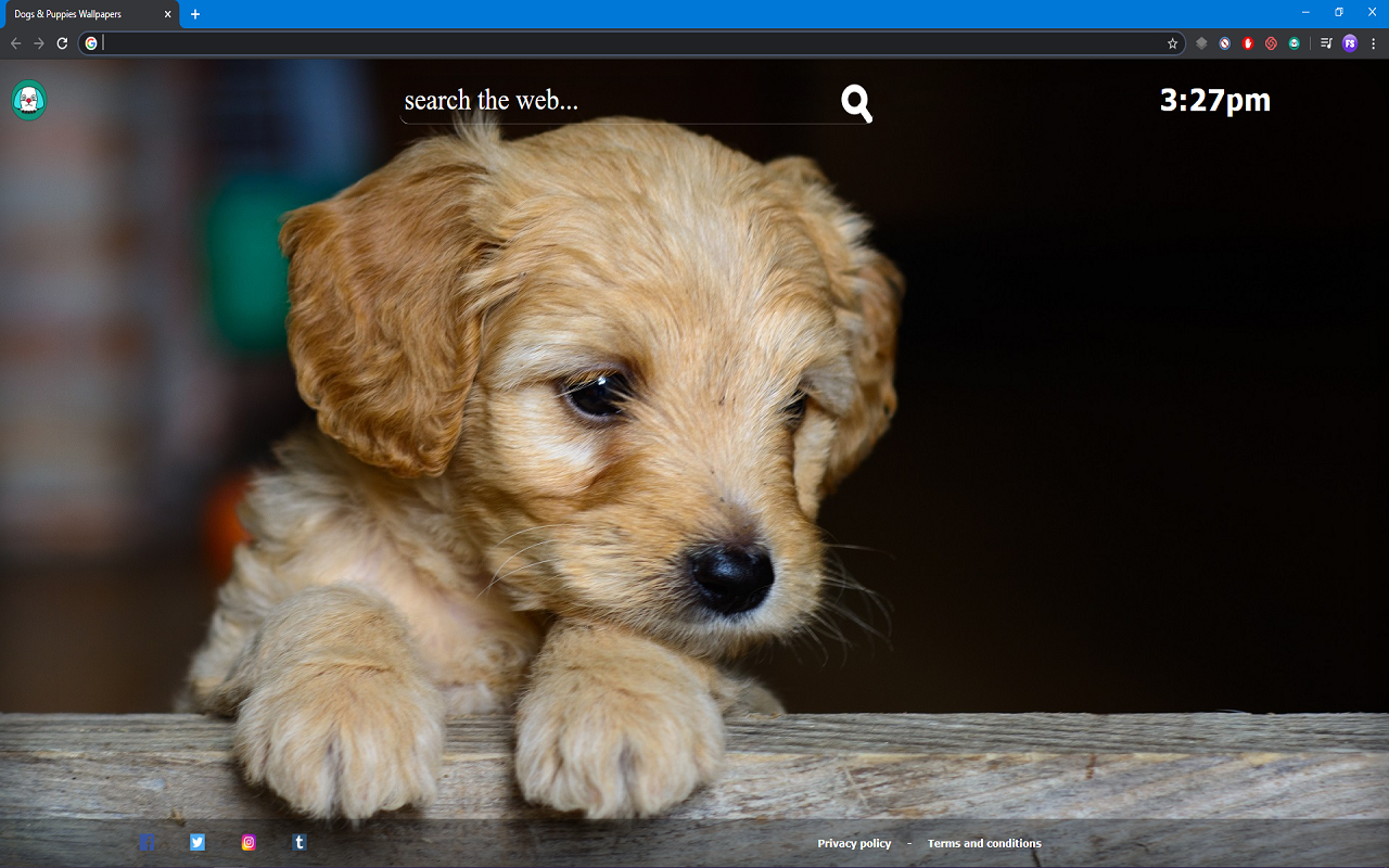 Dogs & Puppies Wallpapers chrome谷歌浏览器插件_扩展第1张截图