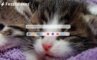 Cute Kittens chrome谷歌浏览器插件_扩展第1张截图
