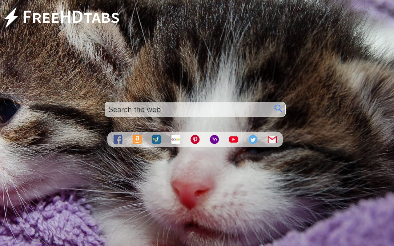 Cute Kittens chrome谷歌浏览器插件_扩展第2张截图