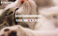 Cute Kittens chrome谷歌浏览器插件_扩展第3张截图